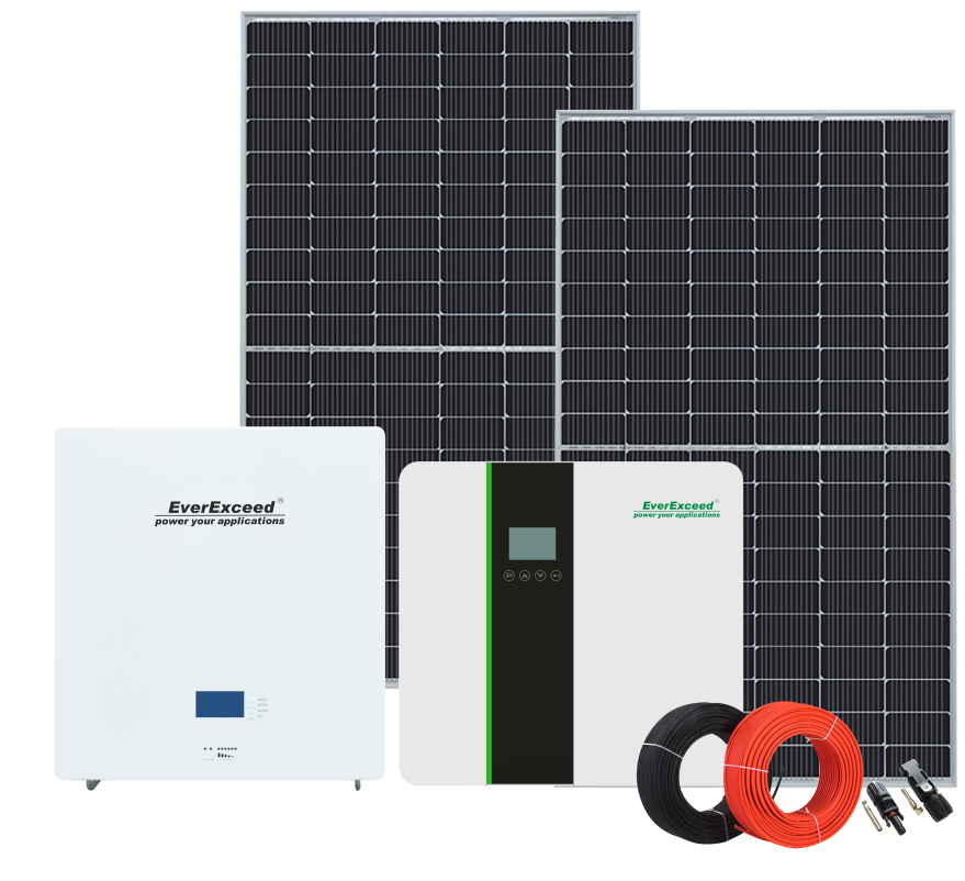 EverExceed Wall Mounted Lithium